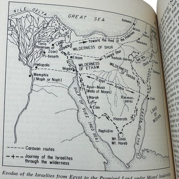The Encyclopedia Of The Bible Paperback Book By Prentice-Hall Spectrum 1965 - Picture 13 of 14